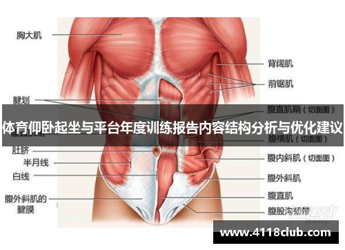 体育仰卧起坐与平台年度训练报告内容结构分析与优化建议